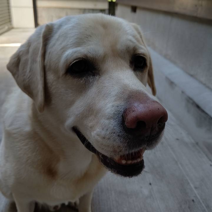 E2f3c5a8 d663 49ac b2cf bb66595a3361 1697455107485