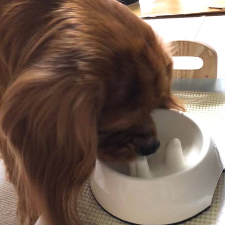 E2f3e58c 6124 44e3 8c67 39e8dcd7d2b4 1567462137712