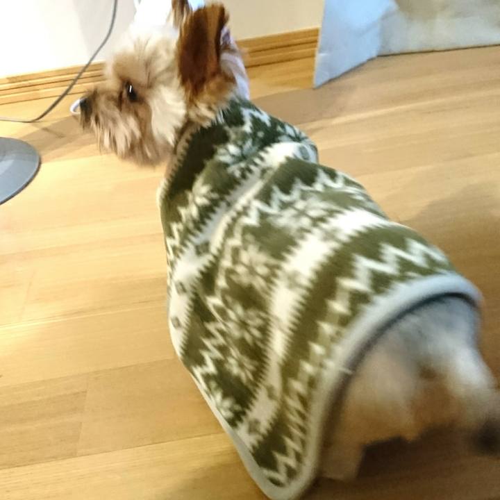 E2f40d62 a090 4f20 a412 ae7e7d74eabe 1514548337724