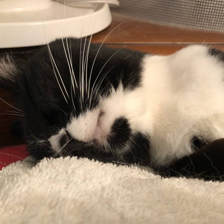 E2f40e93 e8cb 470e bcb7 9bcef638c41b 1562624408238