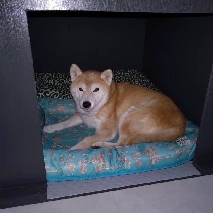 E2f43d02 6a10 48f5 aeb5 0c16d2c57d62 1764152561447