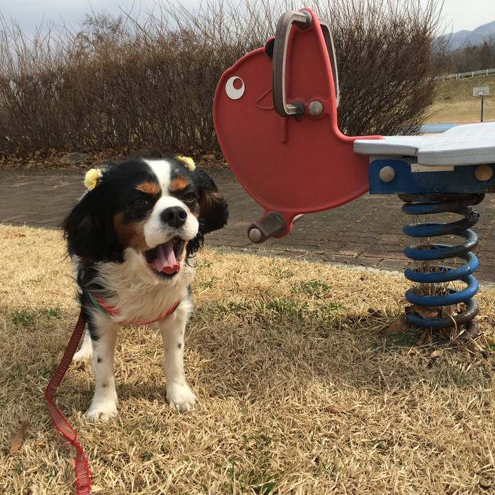 E2f46e59 f324 4888 b386 345ecf8b7892 1522302891478