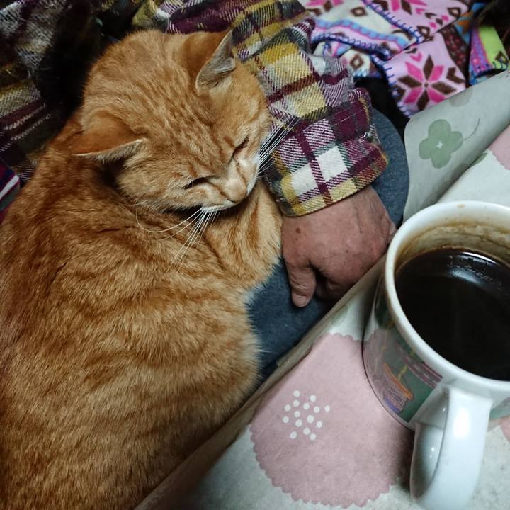 E2f46e8a e0c0 4050 92e5 6a71ebffe0d4 1576440340344