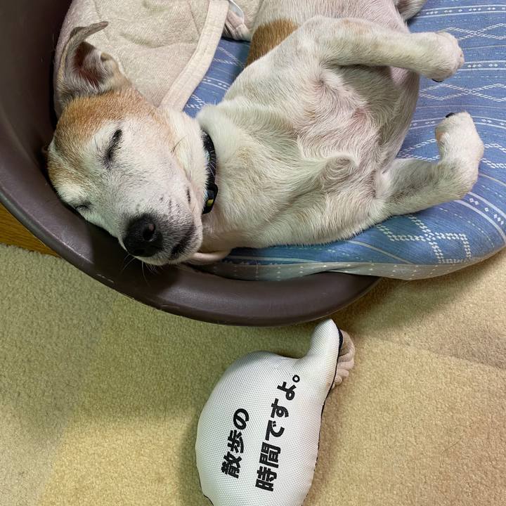 E2f48df1 be92 4fea a830 2e8ff24bc119 1600000489263