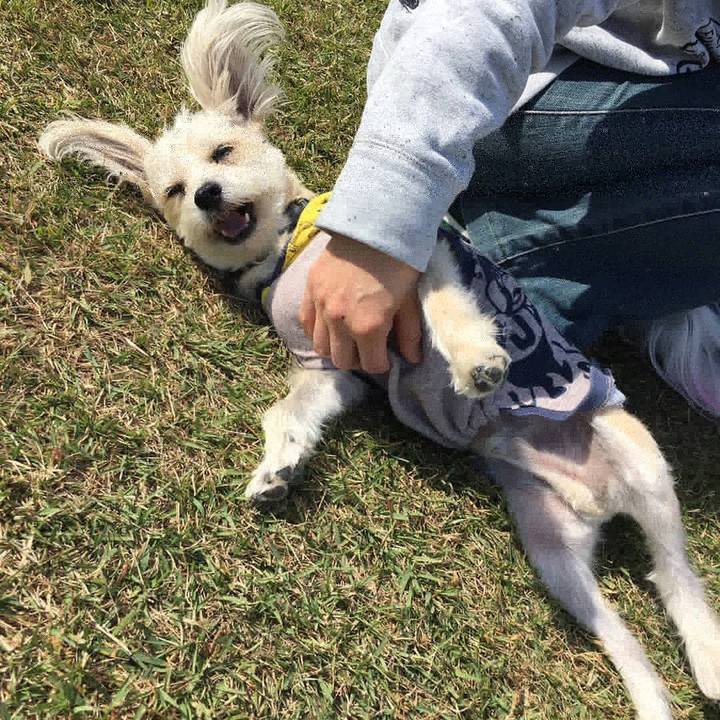 E2f4a78b 1430 4a4e 8c9f fc9fbab528d5 1541158594758