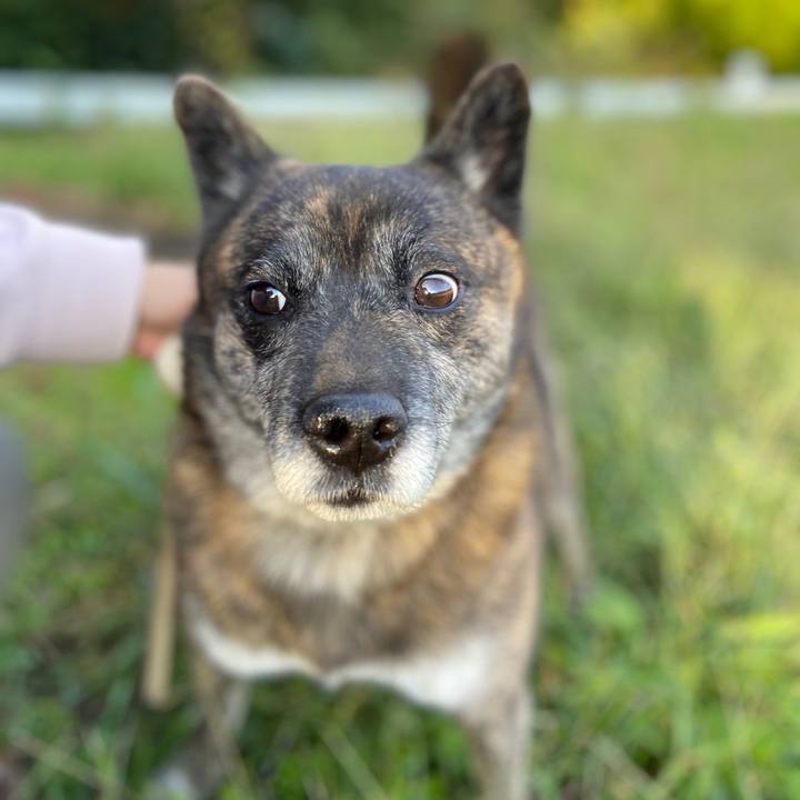 E2f4c982 e3c7 4384 b431 3c5873bd4773 1603925781480