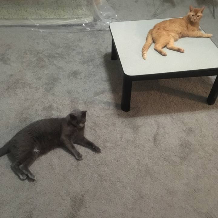 E2f4d07d fd86 4c00 ba4d 52dce169fe1e 1656899898682