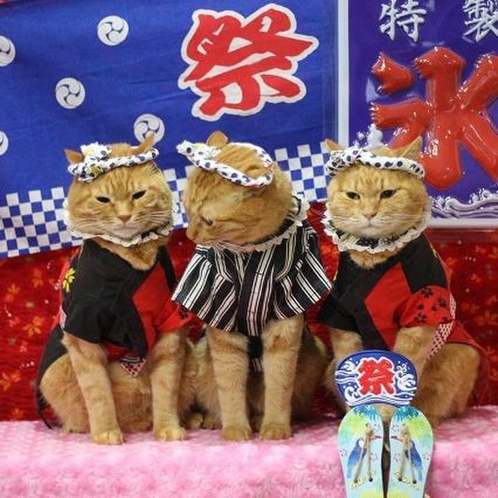 E2f4e0c2 4703 4931 a018 0d97424196ae 1596261720944