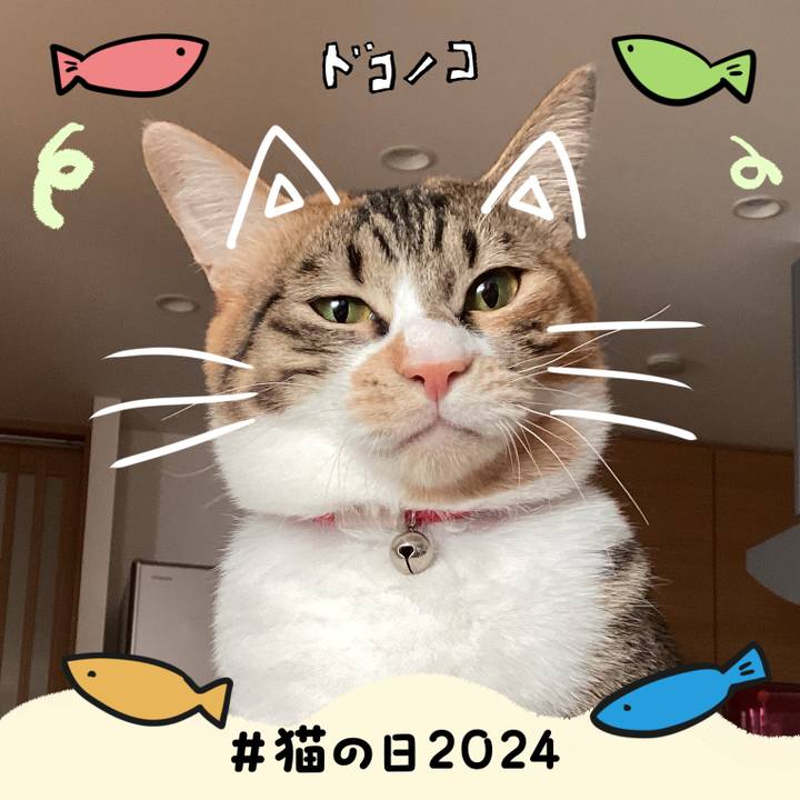 E2f4f9eb 1886 4e8e b040 81548c215561 1708538237283