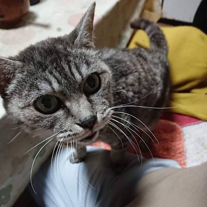 E2f5269d 4bfd 4bc7 be65 2951c061b62c 1604348288186