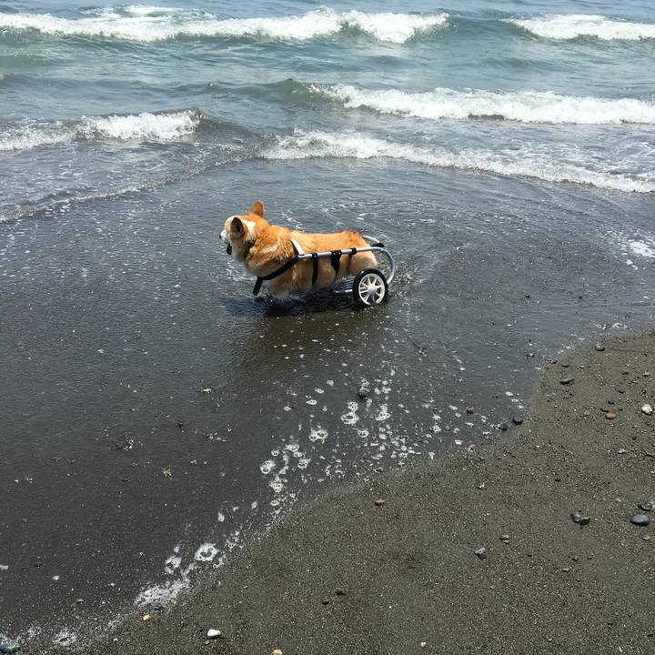 E2f53af4 123a 49dd 82df e9fef6182b0f 1527412219162