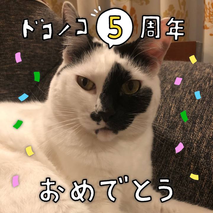 E2f5b097 5935 4777 b2fe d0f4cfdd36cc 1622883199613