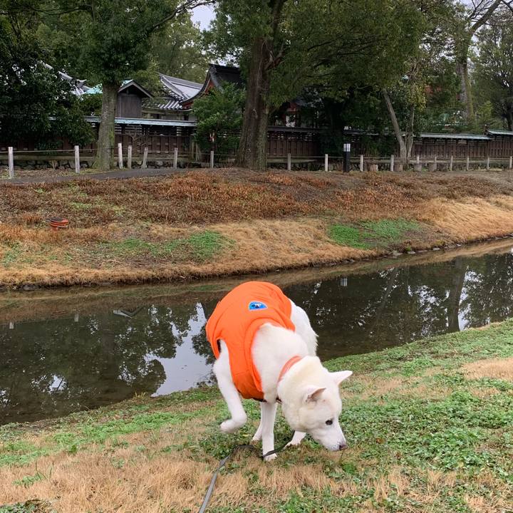 E2f5be75 5471 4625 8cf4 a75bbf581154 1581770981149