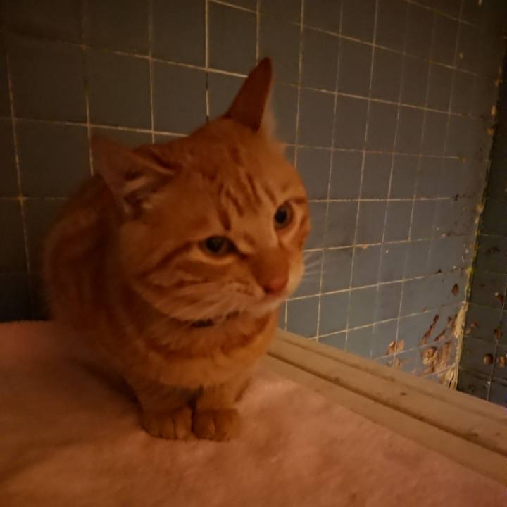 E2f5e060 76f1 4324 bb17 29d3d0d27c8c 1642759988274