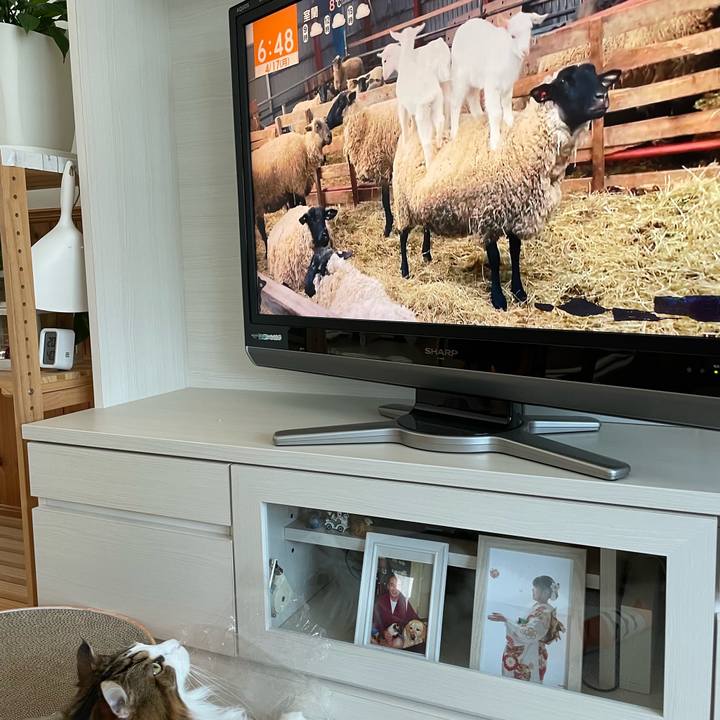 E2f5e4b3 a7b5 4799 bf63 080b4b8a3cb9 1681681916836