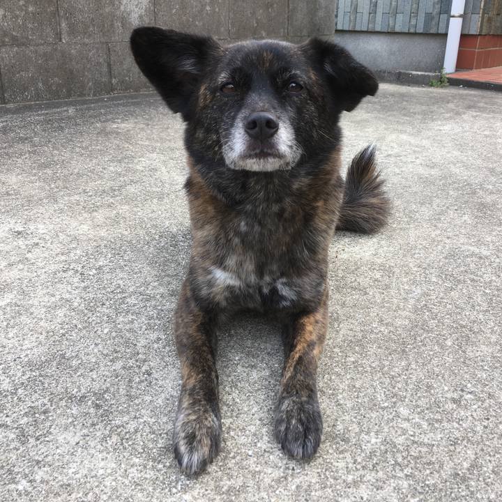 E2f5e650 0f06 4ec2 b5f5 8721e4b4a091 1526721930430