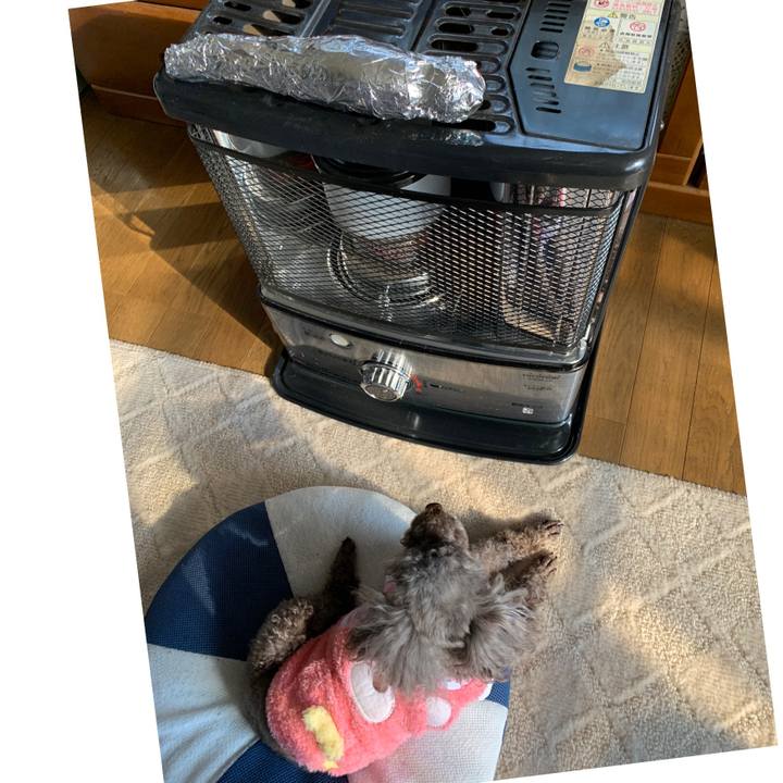 E2f5fe7a a636 4f04 b7ca 0833e0e88284 1604986152177