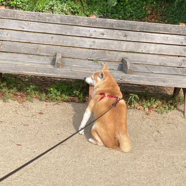 E2f64dd8 608d 4dde ada0 55917712f9c7 1620689321664