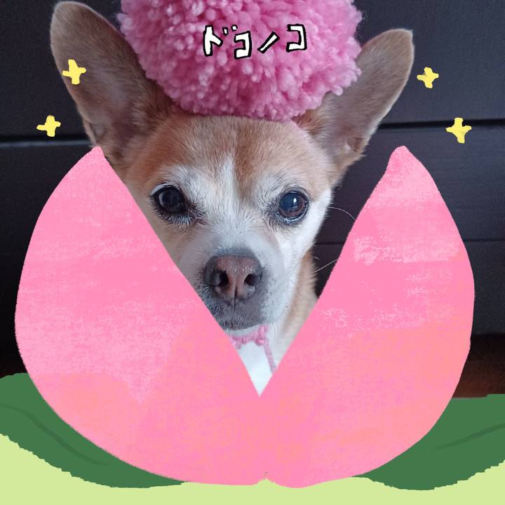 E2f67d82 d58a 4a0f 8468 0cfb33cfe272 1772147122148