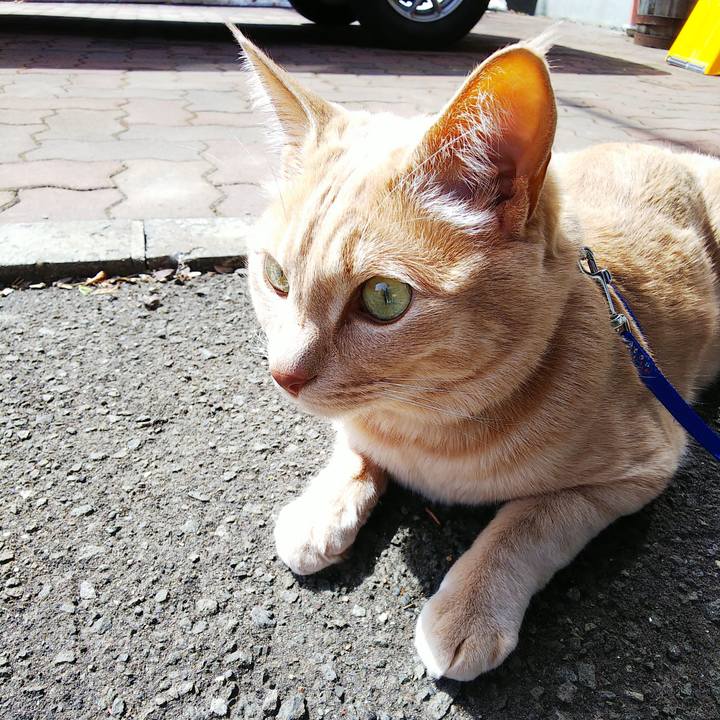 E2f67e47 db8f 4d4f 969b 272402643d4b 1616560752049