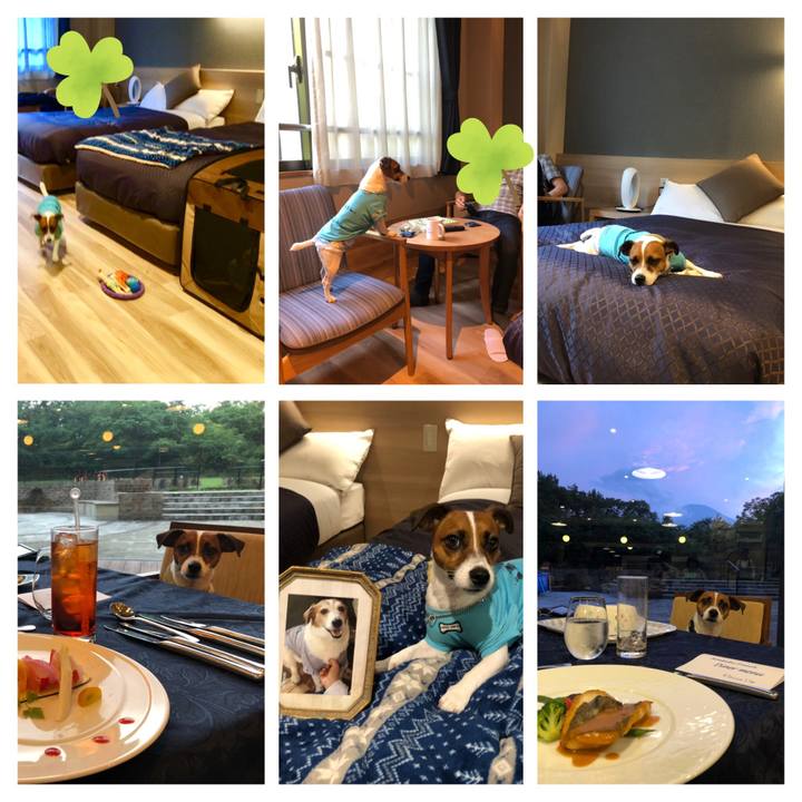 E2f69630 26ef 443b 8c4b 1f7227f847be 1566826366720