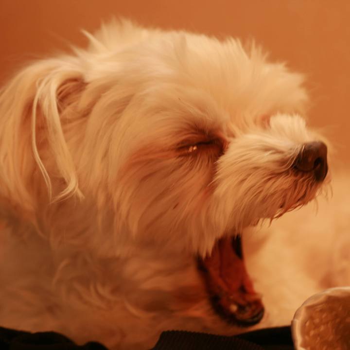 E2f6b55c cb1f 4a2a 849f 5599e34e9cb4 1634657309910