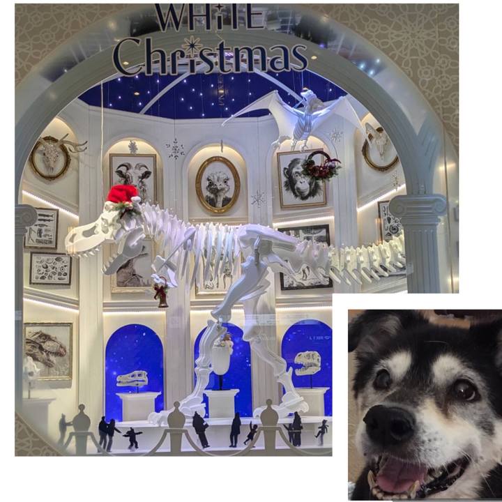 E2f6c9b4 6789 4317 b753 a827d85c4f8e 1764715286824