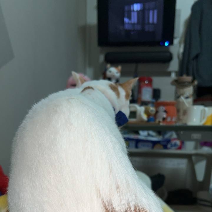 E2f720a4 c46f 4bdd 8245 26e2cf70a823 1764288641236