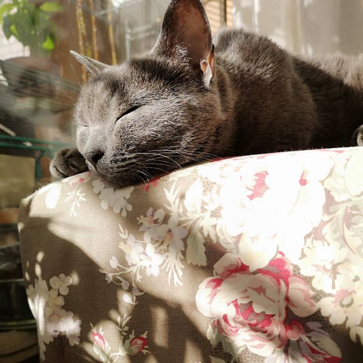 E2f727f0 69e5 4c30 81bc af145e393513 1572909805084