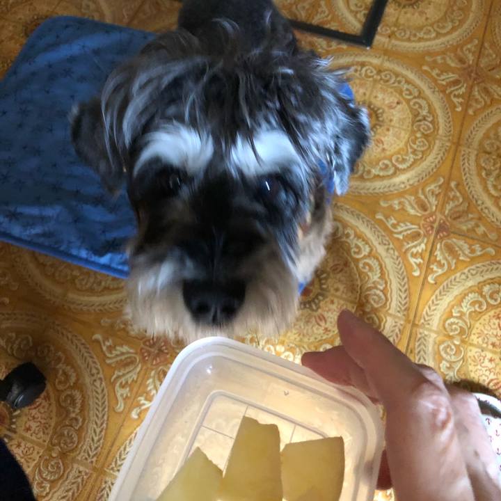 E2f75b49 060d 4173 a797 2bad76503c5a 1657328882413