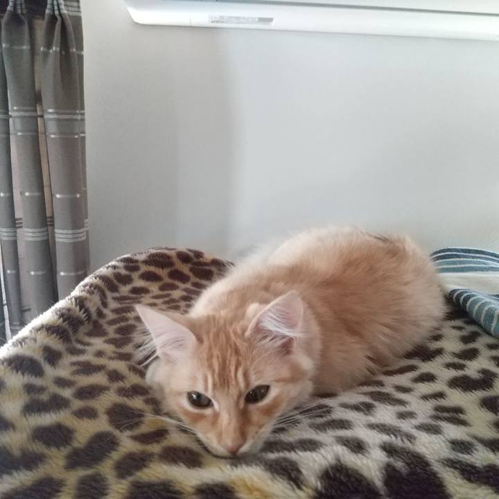 E2f75ee4 b1c5 430b af05 4c212785aaa9 1613024501420