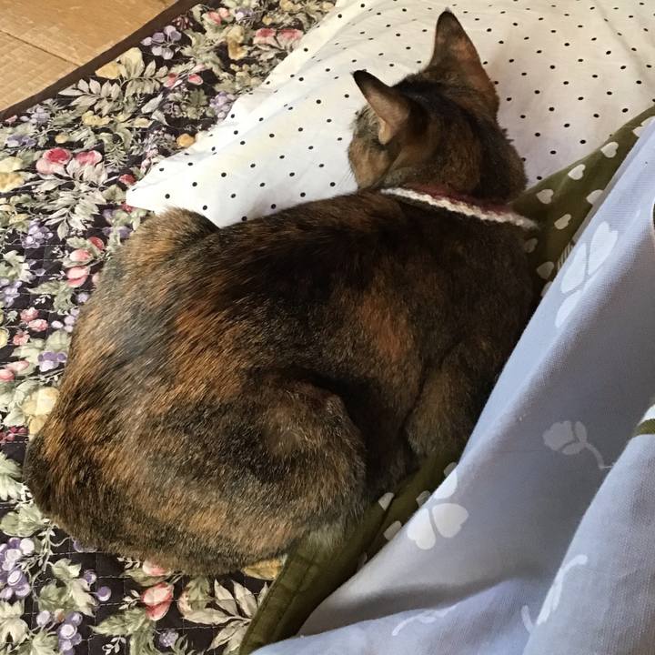 E2f7681b b62e 40b2 b80d cba5a92865d6 1650320521829