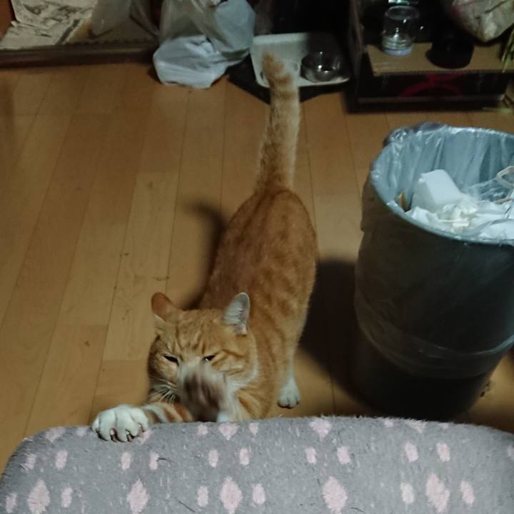 E2f793e1 75e5 4e71 97c4 23df5553695e 1602705456883