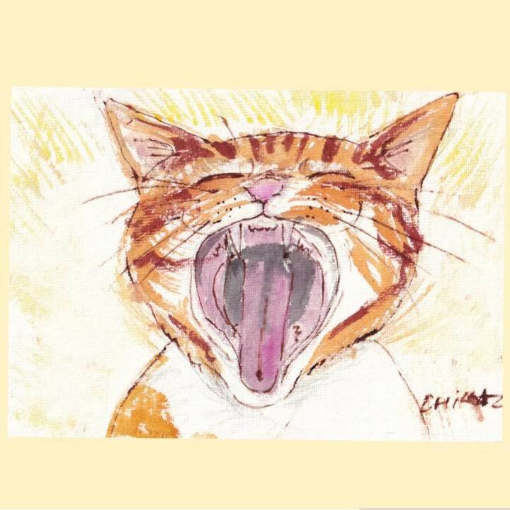 E2f798fc f1b3 4ec1 9970 13006f2c90c4 1765538801679