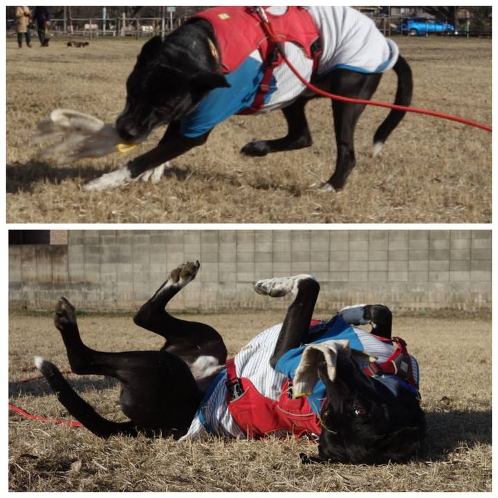 E2f7c2f4 d78f 4421 a87b 3256be362abd 1677890876569