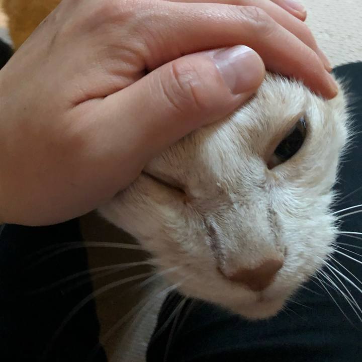 E2f7e0b3 22f4 4880 9fcd 048f2da9e8d9 1625631916761