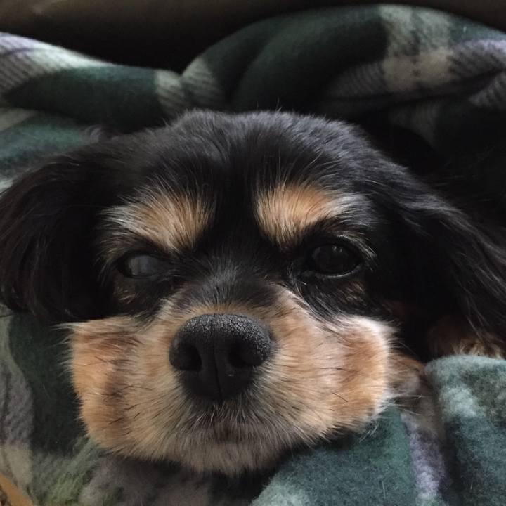 E2f81b91 de50 4ef3 905c d1132597ff33 1542879115161