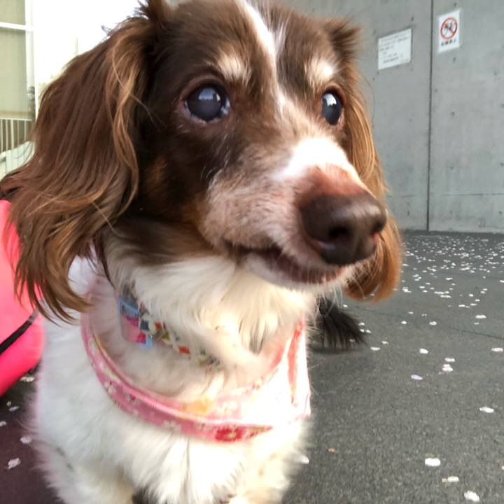 E2f840dd 91c9 4471 ae73 5950f99a6497 1555201059955