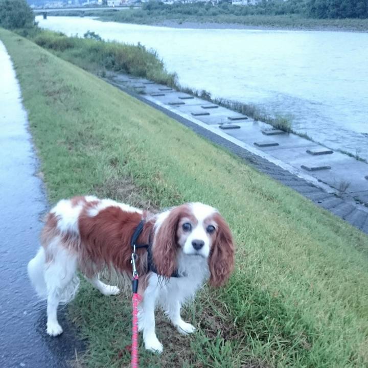 E2f85c3f 9809 4c87 be6d ab68390a4de9 1567075254272