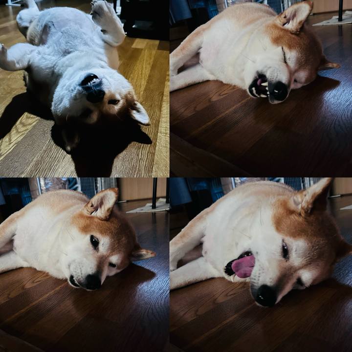 E2f873df 09c3 400a b8dd c1174662b73b 1725856835385