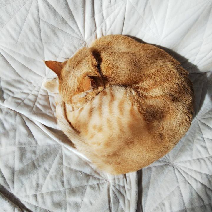 E2f89b5f 3ec8 4e37 83e8 d0e7acc082dc 1581047078818