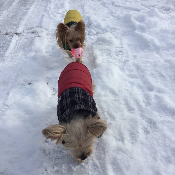 E2f89e08 2f05 48c6 8e4e cb26b754e84c 1544077148451