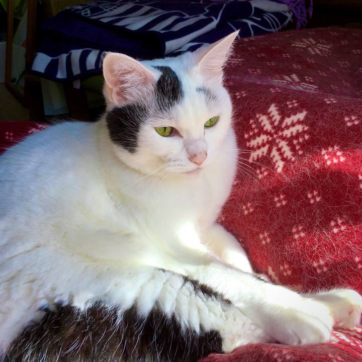 E2f8afb1 61cb 4323 89a7 e5bb916c6841 1571114985298