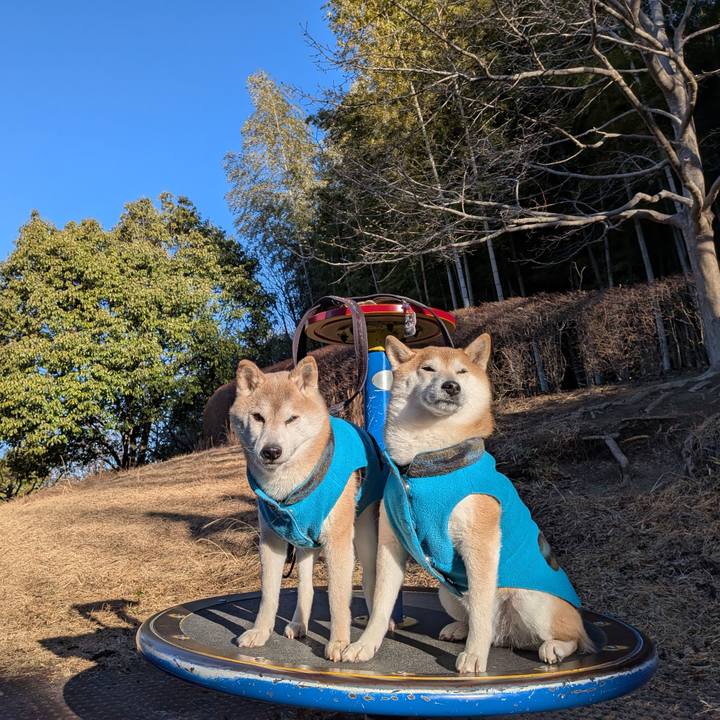 E2f911fc d51e 4c19 ac35 59847ee682ca 1768360717730