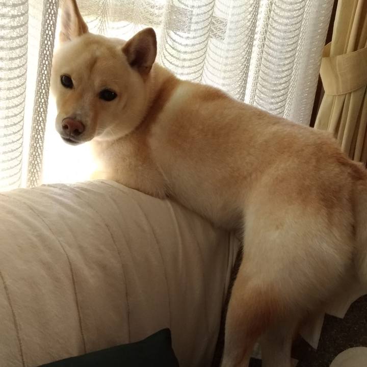 E2f92cb6 8288 43a1 8391 4c77d2c6153a 1532664115265