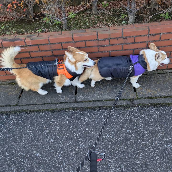 E2f933c0 60c2 4b10 a1fd d6f172a908e2 1765932184029