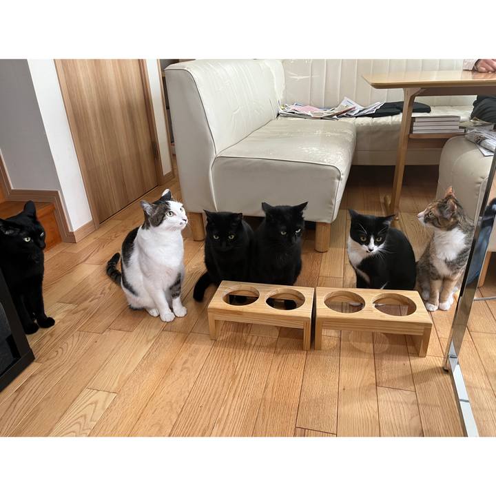 E2f94c03 3833 47a7 9ba6 223806caaf45 1654040380104