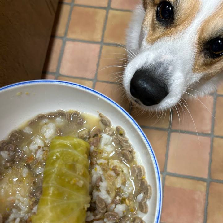 E2f9686c e95d 4b9b bea3 c96fb4c2df95 1768741225033