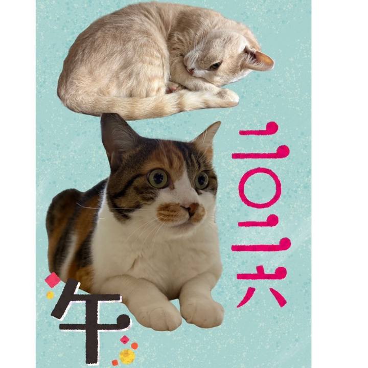 E2f969e4 35c5 4647 9a73 0280309963db 1767316420699