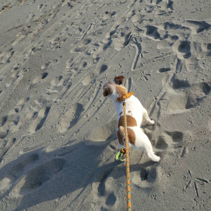 E2f9b02a f8a5 4747 8569 92e0bf99edfa 1583754594569